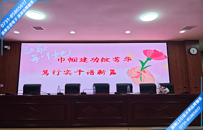 衡陽白沙洲工業(yè)園某學校報告廳LED顯示屏